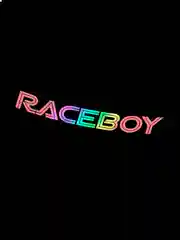Белый raceboy - наклейка на авто - белый и переливающийся стикер