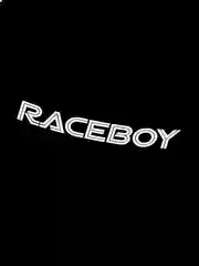 Белый raceboy - наклейка на авто - белый и переливающийся стикер