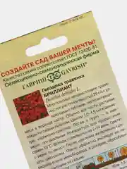 Гвоздика Бриллиант, семена, цветы