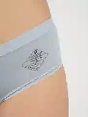 Ледяной женские хлопковые трусы слипы