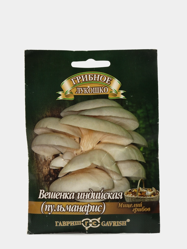 Грибы Вешенка индийская пульманарис (семена)
