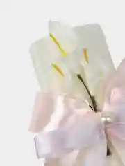 Семейный очаг Калла