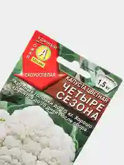 Семена Капуста цветная "Четыре сезона" набор 1, 3, 5 уп