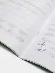 Чистописание + словарные слова
