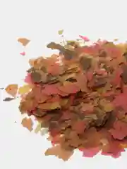 Корм Tetra TetraMin (хлопья)корм  для всех видов рыб
