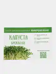Набор для выращивания микрозелени Базилик, Кинза, Кориандр, Горох, Кресс
