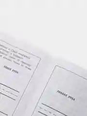 Развитие межполушарного взаимодействия у детей: Прописи для мальчиков