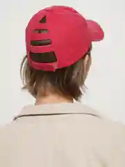 Розовый бейсболка, 10 цветов