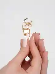 Белый брошь "Кошка", 2 цвета