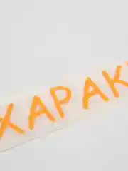 Оранжевый термотрансфер, термонаклейка с характером