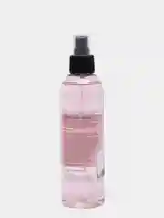 Антибактериальный очиститель кистей для макияжа ESSTIR Stadard 250ml (спрей)