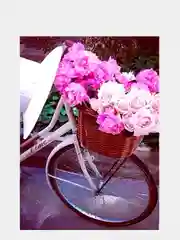 Фуксия алмазная мозаика 28 х 38 см, без подрамника, Сложность - 4