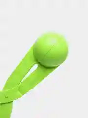 Лайм снежколеп