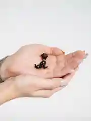 Брошь "Собака", со стразами