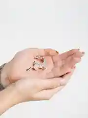 Бронзовый брошь на булавке