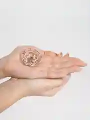 Вишнёвый брошь на булавке