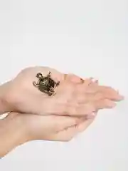 Желтый брошь, 3 цвета