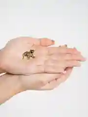 Золотистый хаки брошь на булавке