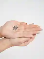 Серебряный брошь на булавке