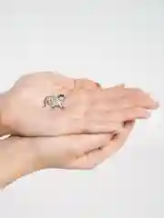 Серебряный брошь на булавке