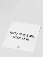 Наклейка "Никто не идеален, кроме меня"