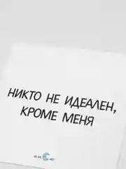 Наклейка "Никто не идеален, кроме меня"