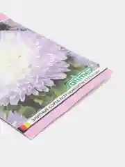 Астра Баллон серебристо-голубой, семена, цветы