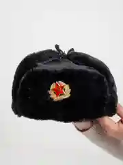 Черный шапки Ушанки/ Будёновка/ Солдатская/ Ушанка (Разные цвета) с кокардой, СССР, РФ
