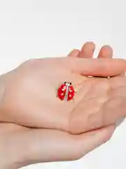 Золотой брошь "Божья Коровка"