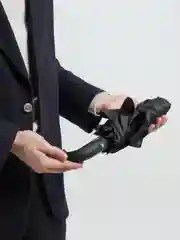 Черный зонт черный полуавтоматический Pasio