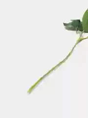 Желтый искусственные цветы "Роза"