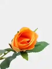Желтый искусственные цветы "Роза"