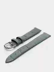 Ремень для наручных часов C-217APT.4P-GY
