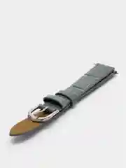 Ремень для наручных часов C-217APT.4P-GY