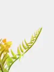 Оранжевый искусственные цветы "Букет колючек"