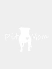 Наклейка на авто "PIT MOM"