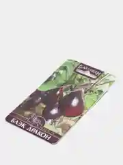 Семена Баклажан "Блэк Дракон"