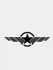 Белый наклейка на капот автомобиля "Звезда"