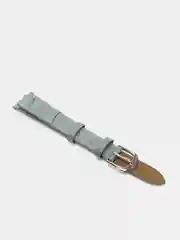 Ремень для наручных часов C-217APT.4P-GY