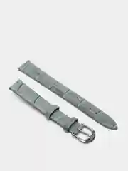 Ремень для наручных часов C-217APT.4P-GY