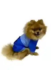 Куртка для собак и кошек