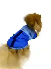 Куртка для собак и кошек