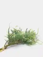 Белый искусственные растения Нежные соцветия
