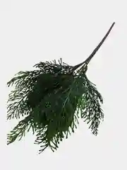 Тёмно-зелёный цветы искусственные