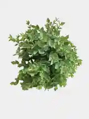 Лайм цветы искусственные