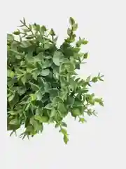 Лайм цветы искусственные