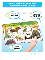 Говорящая книга для детей Нажималка Животные