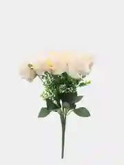 Молочный роза