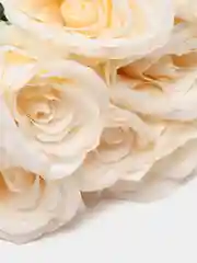 Молочный роза