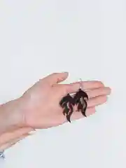 Деревянные серьги Черный коршун